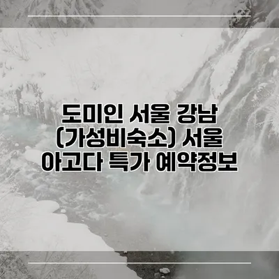도미인 서울 강남 (가성비숙소) 서울 아고다 특가 예약정보