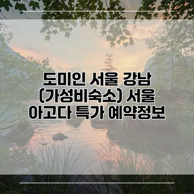 도미인 서울 강남 (가성비숙소) 서울 아고다 특가 예약정보
