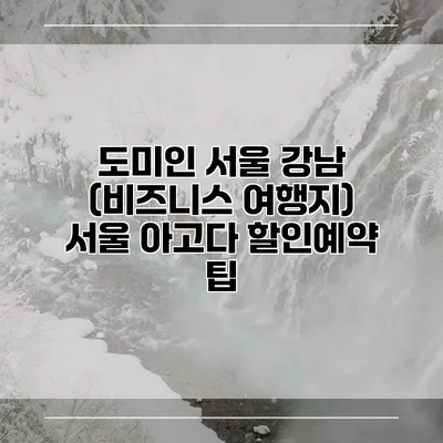 도미인 서울 강남 (비즈니스 여행지) 서울 아고다 할인예약 팁