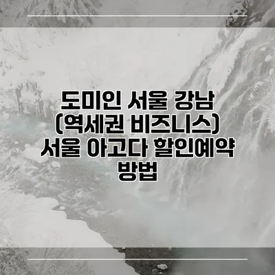 도미인 서울 강남 (역세권 비즈니스) 서울 아고다 할인예약 방법