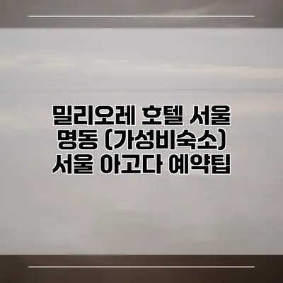 밀리오레 호텔 서울 명동 (가성비숙소) 서울 아고다 예약팁