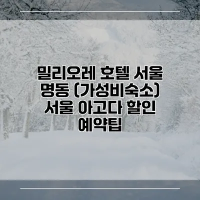 밀리오레 호텔 서울 명동 (가성비숙소) 서울 아고다 할인 예약팁