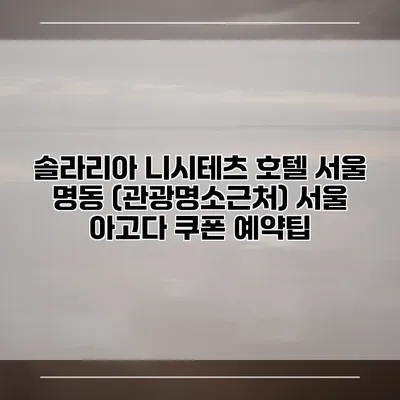 솔라리아 니시테츠 호텔 서울 명동 (관광명소근처) 서울 아고다 쿠폰 예약팁