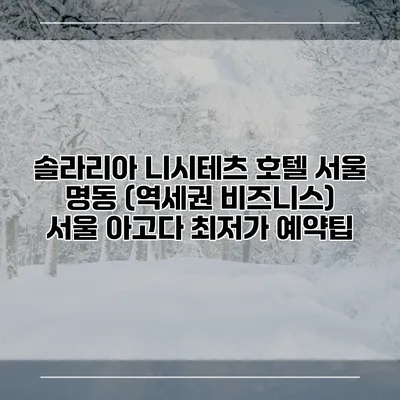 솔라리아 니시테츠 호텔 서울 명동 (역세권 비즈니스) 서울 아고다 최저가 예약팁