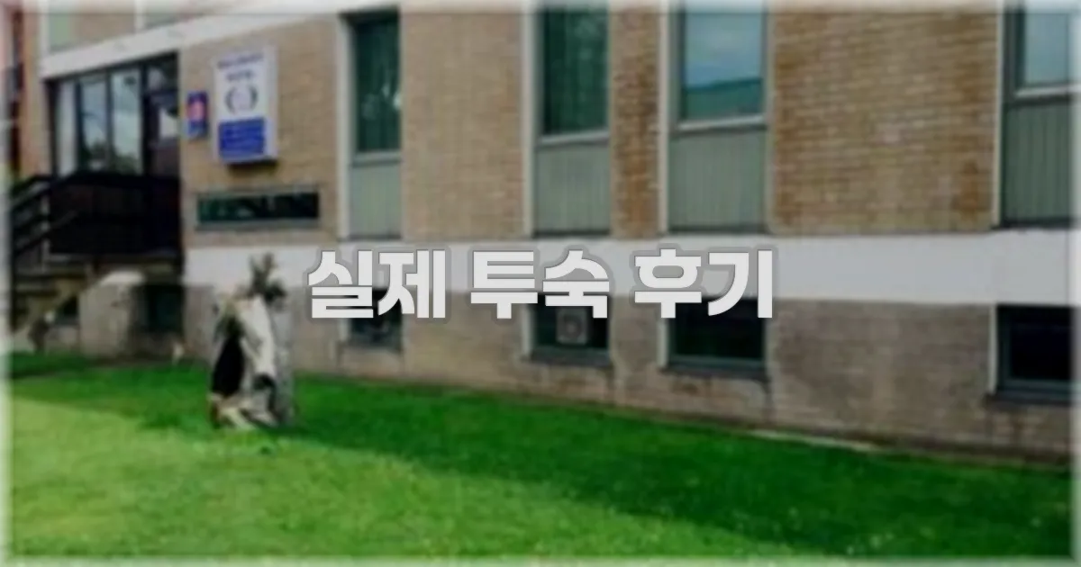 💬 실제 투숙 후기