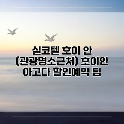 실코텔 호이 안 (관광명소근처) 호이안 아고다 할인예약 팁