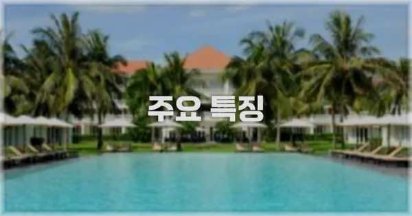 ✨ 주요 특징