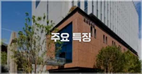 ✨ 주요 특징