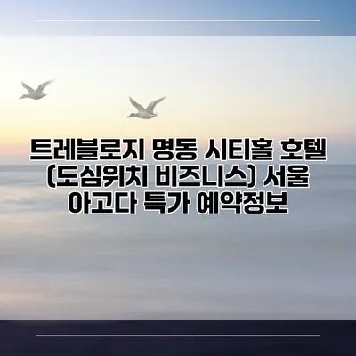 트레블로지 명동 시티홀 호텔 (도심위치 비즈니스) 서울 아고다 특가 예약정보