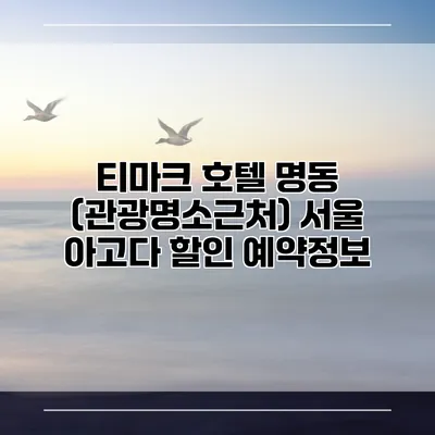 티마크 호텔 명동 (관광명소근처) 서울 아고다 할인 예약정보