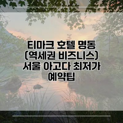 티마크 호텔 명동 (역세권 비즈니스) 서울 아고다 최저가 예약팁
