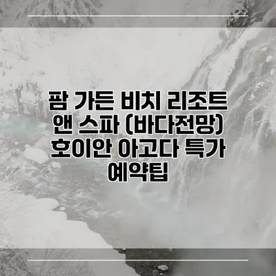 팜 가든 비치 리조트 앤 스파 (바다전망) 호이안 아고다 특가 예약팁
