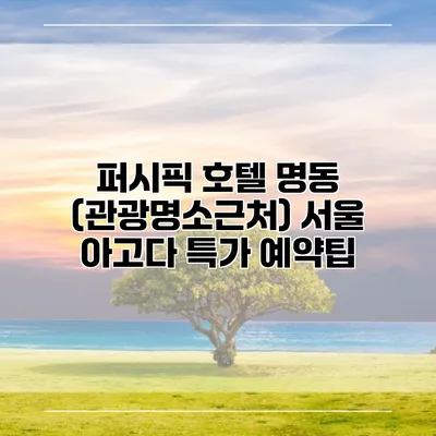 퍼시픽 호텔 명동 (관광명소근처) 서울 아고다 특가 예약팁