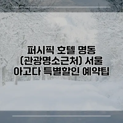 퍼시픽 호텔 명동 (관광명소근처) 서울 아고다 특별할인 예약팁