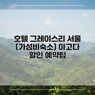 호텔 그레이스리 서울 (가성비숙소) 아고다 할인 예약팁
