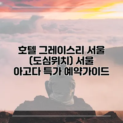 호텔 그레이스리 서울 (도심위치) 서울 아고다 특가 예약가이드