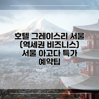 호텔 그레이스리 서울 (역세권 비즈니스) 서울 아고다 특가 예약팁