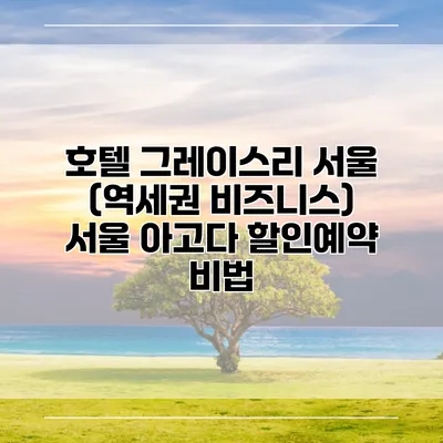 호텔 그레이스리 서울 (역세권 비즈니스) 서울 아고다 할인예약 비법