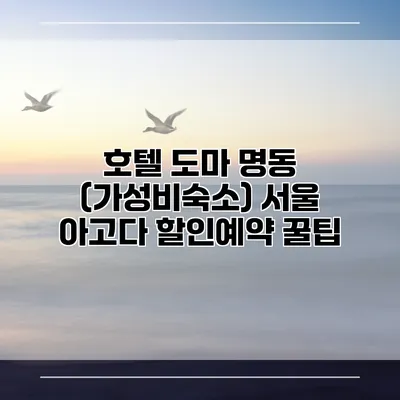 호텔 도마 명동 (가성비숙소) 서울 아고다 할인예약 꿀팁