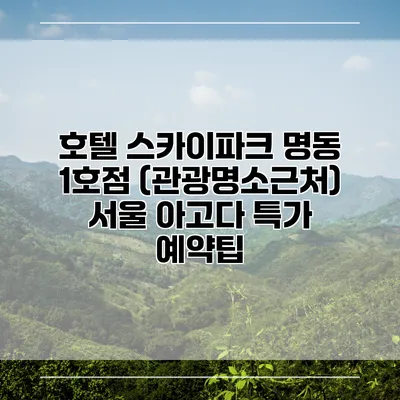 호텔 스카이파크 명동 1호점 (관광명소근처) 서울 아고다 특가 예약팁