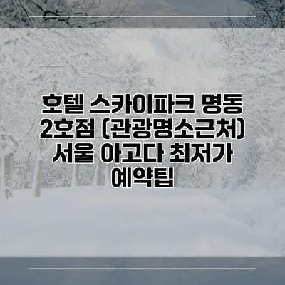 호텔 스카이파크 명동 2호점 (관광명소근처) 서울 아고다 최저가 예약팁