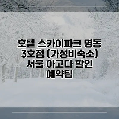 호텔 스카이파크 명동 3호점 (가성비숙소) 서울 아고다 할인 예약팁