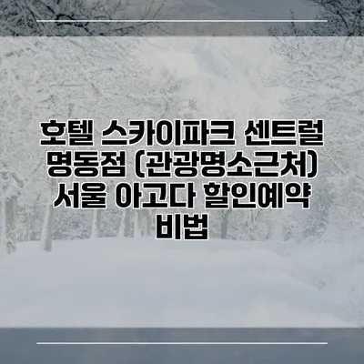 호텔 스카이파크 센트럴 명동점 (관광명소근처) 서울 아고다 할인예약 비법