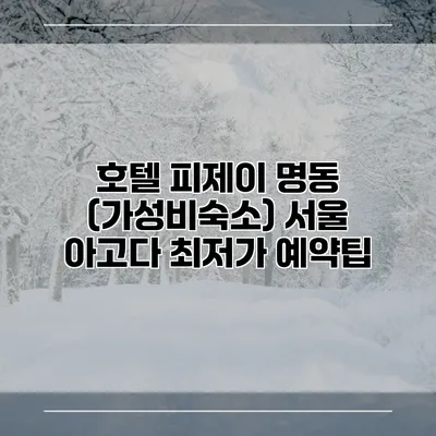 호텔 피제이 명동 (가성비숙소) 서울 아고다 최저가 예약팁